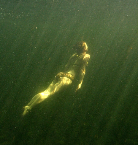Underwater (Via <a href="http://www.flickr.com/photos/gerrythomasen/176081589/">GerryT</a>.)